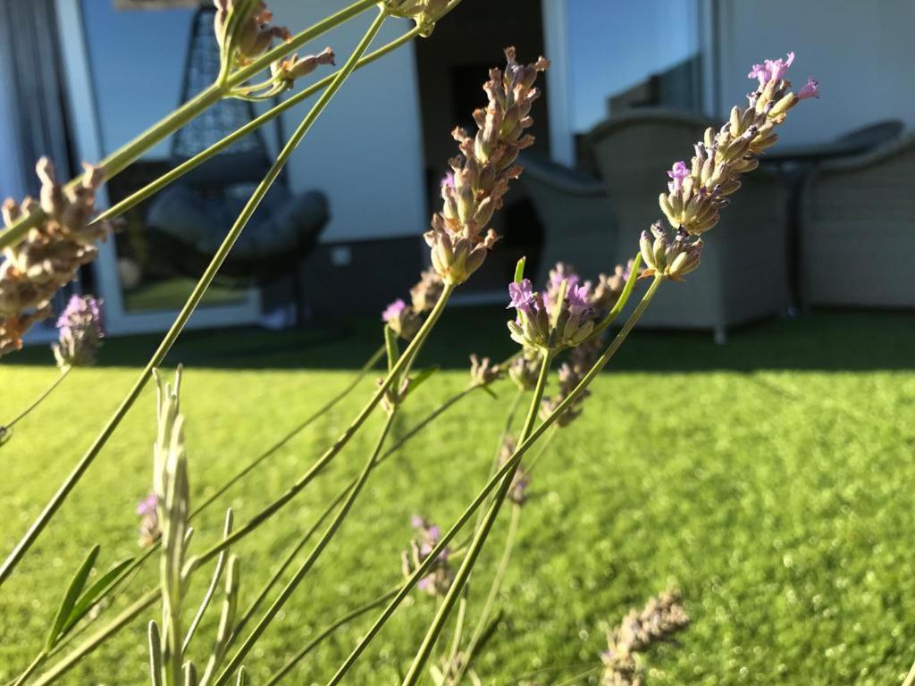 Hedonist-Luxury 2 Bedroom Apartment With Private Hot Tub, Garden And Free Parking トロギール エクステリア 写真
