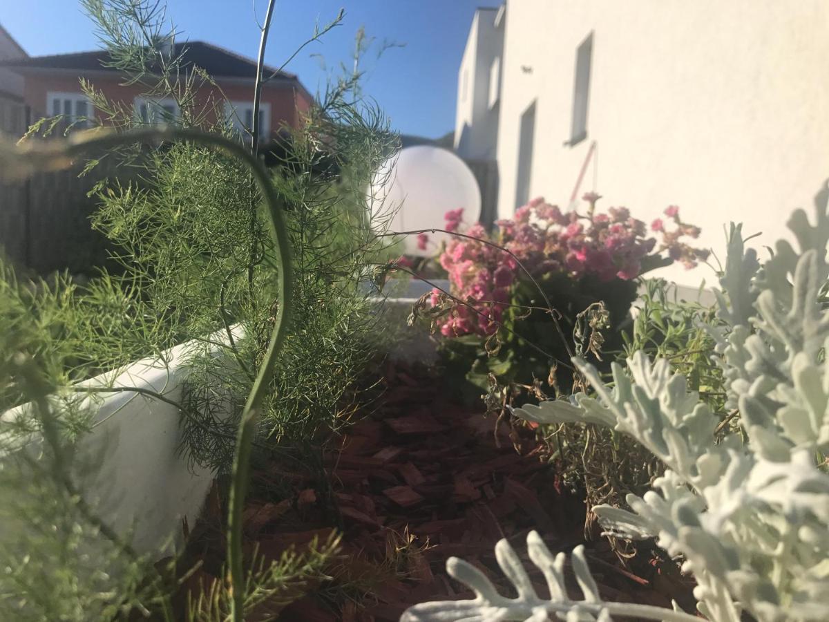 Hedonist-Luxury 2 Bedroom Apartment With Private Hot Tub, Garden And Free Parking トロギール エクステリア 写真